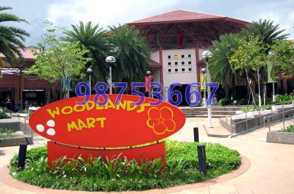 Blk 764 Woodlands Circle (Woodlands), HDB 5 Rooms #110095972